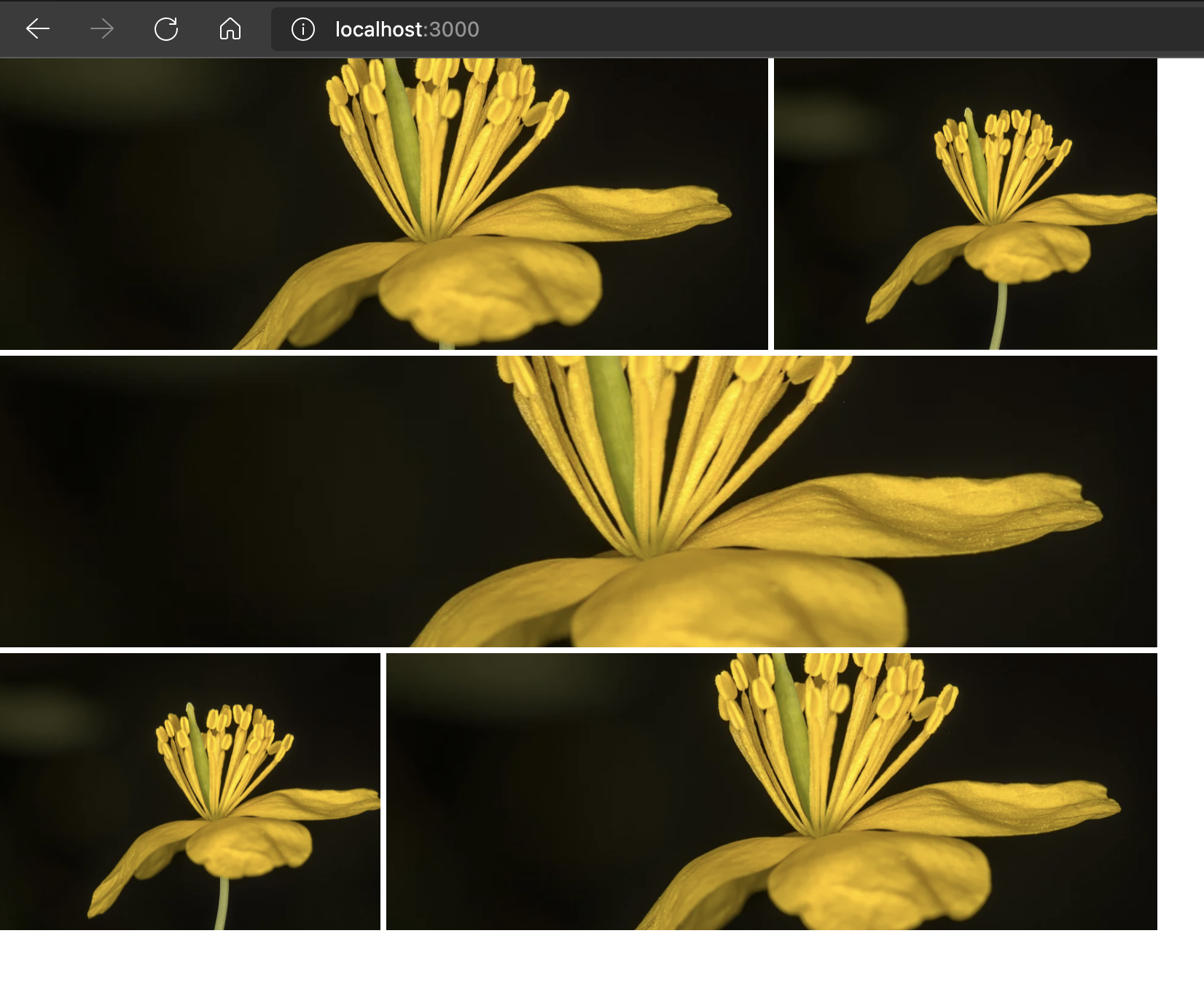 gridlist variable column size example